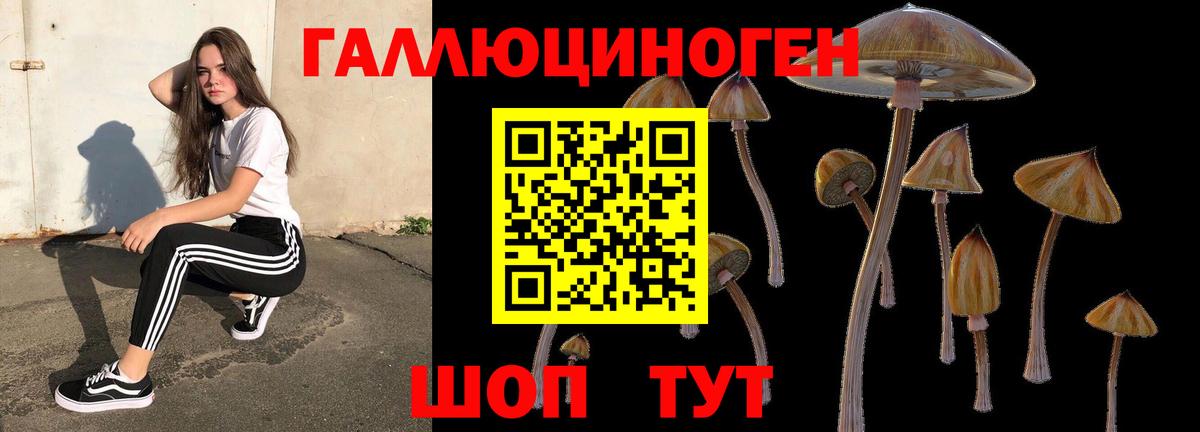 Псилоцибиновые грибы Cubensis  Вход с VPN  Уссурийск 