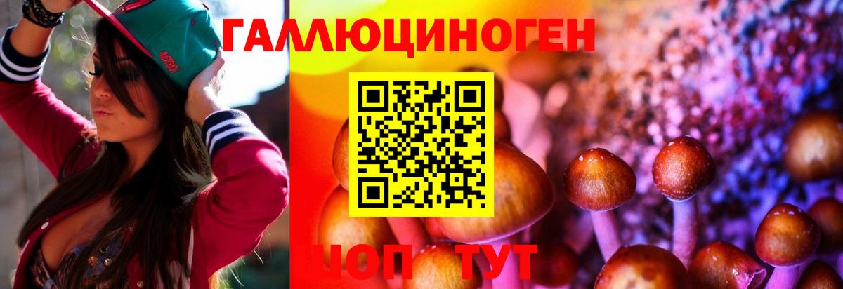 Псилоцибиновые грибы ЛСД Уссурийск